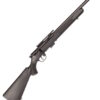 Savage 93 FV-SR 22 WMR
