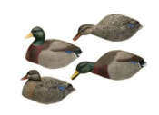 FA Brand peibutuspardid Mallard 6 tk