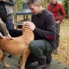 CHEVALIER pullover Wykin - Image 3