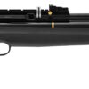 Hatsan PCP AT44S-10 - Image 2