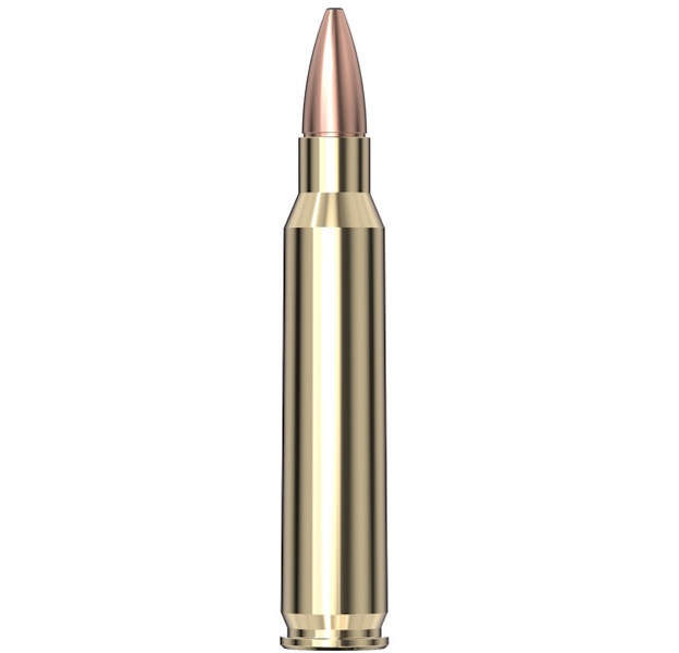 223 Rem FMJ 55gr/3,6g Hornady Frontier