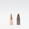 .224 SP HP 53gr/3.43g - Image 2