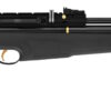 Hatsan PCP AT44-10 - Image 2