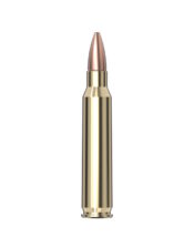 223 Rem FMJ Hornady Black 4g
