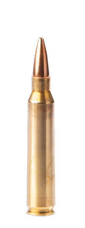 223 REM FMJHP 50gr 3,24g Fiocchi