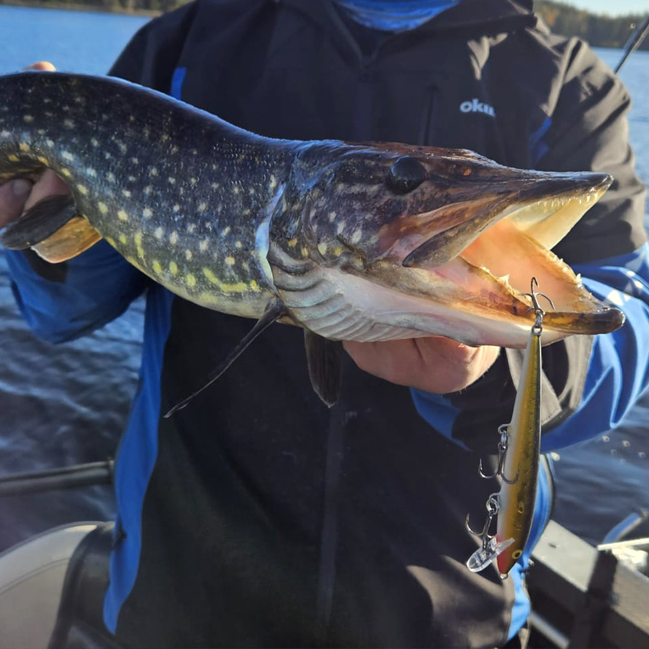 Rapala 90 Years Lure Kit – Big Naturistic - Image 6