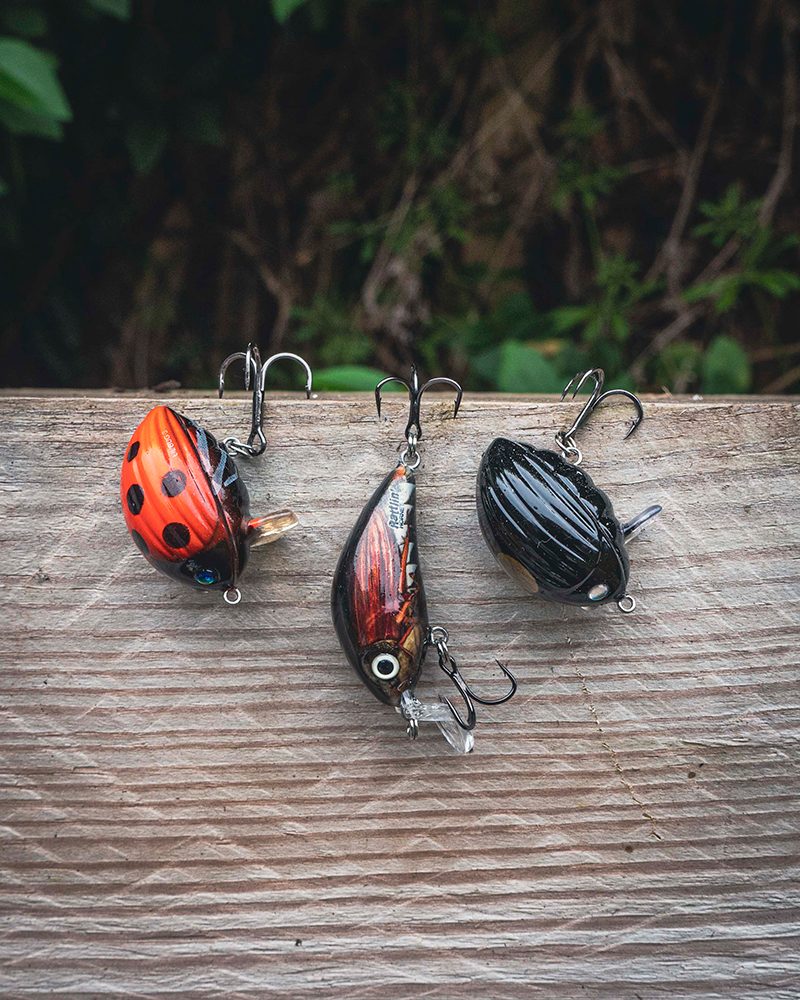 Salmo Chub Pack (lantide komplekt) - Image 3