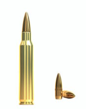 223 REM FMJ 55gr / 3,6g S&B