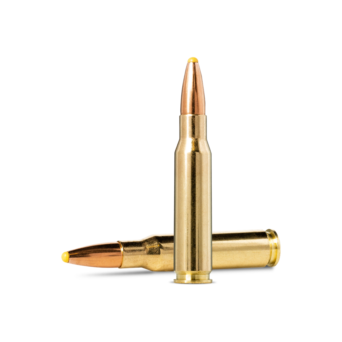 308 WIN PPDC 11,7g NORMA