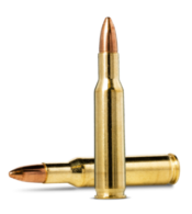 222 REM FMJ 55gr / 3,6g NORMA