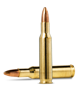 222 REM FMJ 55gr / 3,6g NORMA