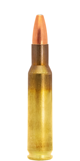 222 REM SP 55gr / 3,6g LAPUA